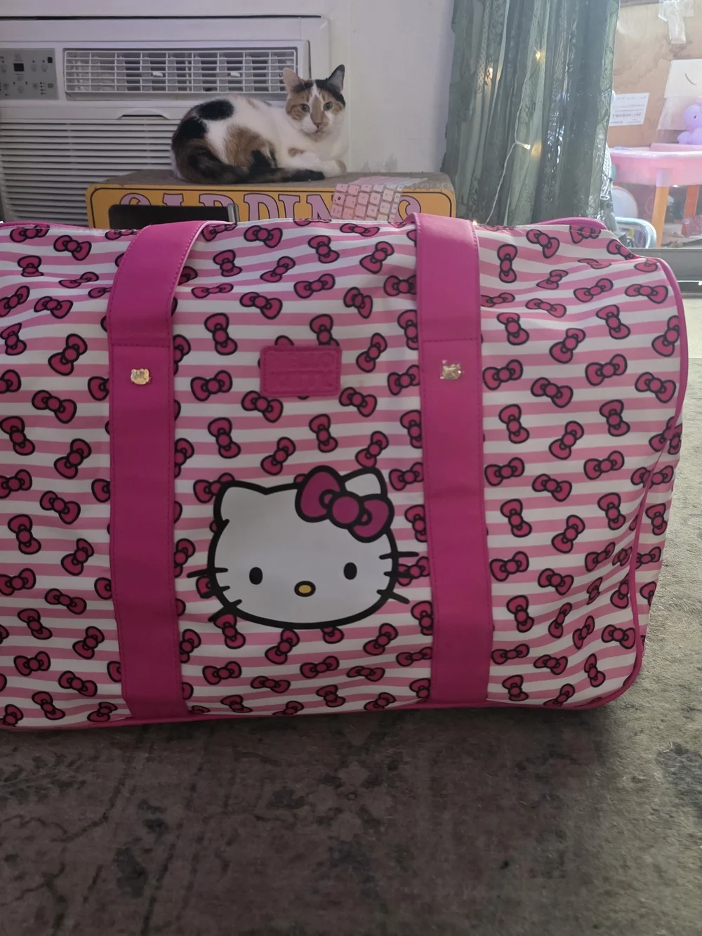 Hello Kitty Pink and White Striped Garment Bag with Bow Print